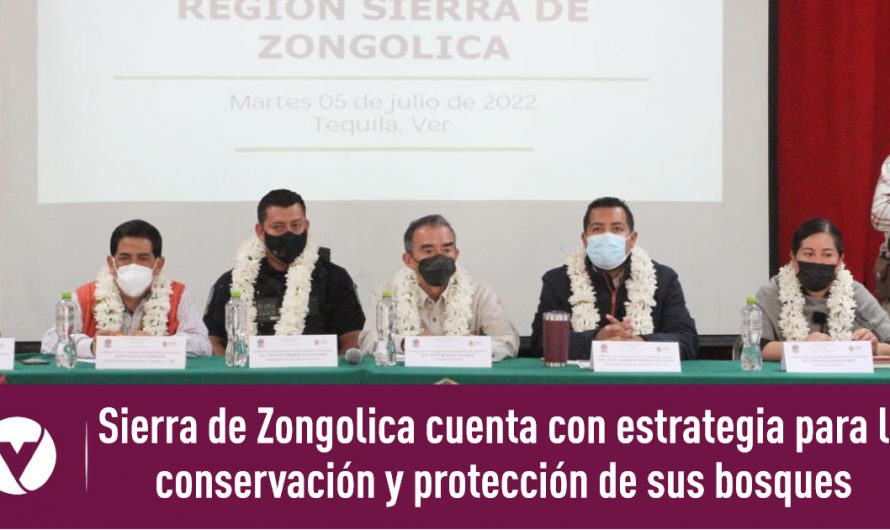 Sierra de Zongolica cuenta con estrategia para la conservación y protección de sus bosques