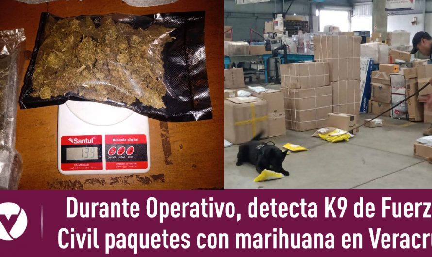 Durante Operativo, detecta K9 de Fuerza Civil paquetes con marihuana en Veracruz