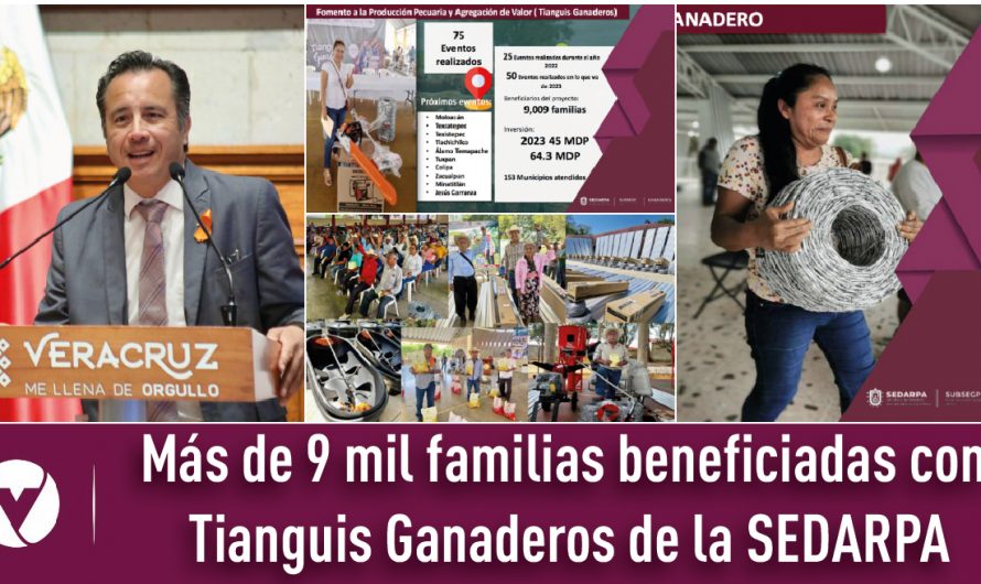 Más de 9 mil familias beneficiadas con Tianguis Ganaderos de la SEDARPA