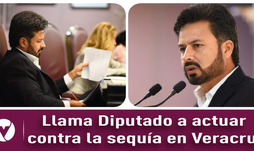 Llama Diputado a actuar contra la sequía en Veracruz