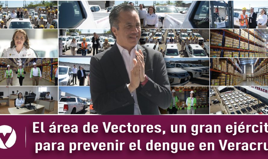 El área de Vectores, un gran ejército para prevenir el dengue en Veracruz