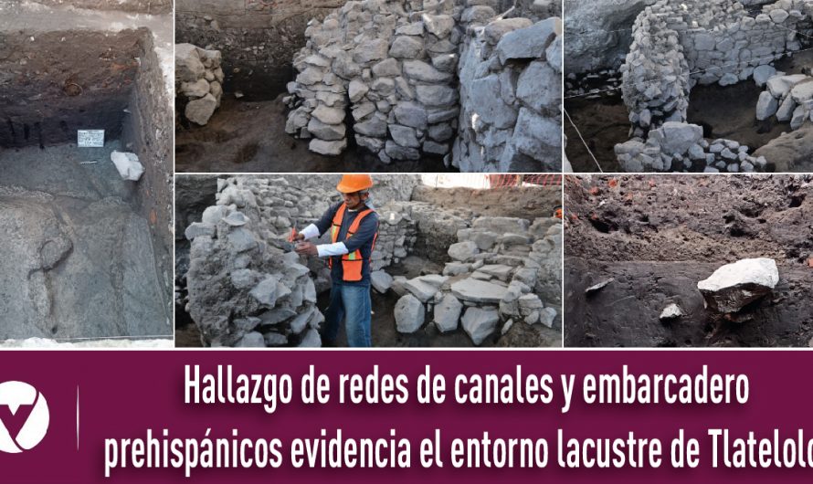 Hallazgo de redes de canales y embarcadero prehispánicos evidencia el entorno lacustre de Tlatelolco